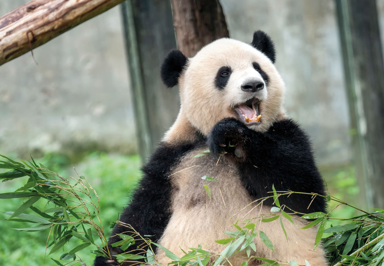 Sleutelplan_Ouwehands dierenpark